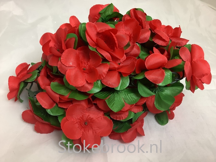 Basil bloemslinger