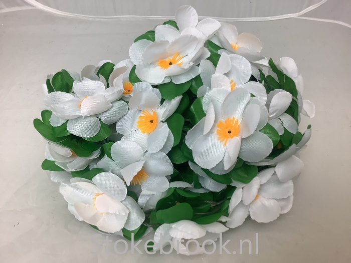 Basil bloemslinger